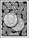 H.E. Harris Coin Folder - Kennedy Half Dollars vol 3 2000-2015 THUMBNAIL