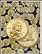 H.E. Harris Coin Folder - Sacagawea Dollars 2005-2008 THUMBNAIL
