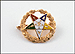 Eastern Star Lapel Pin in 14K Yellow Gold THUMBNAIL