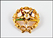 Eastern Star Pin in 10K Yellow Gold THUMBNAIL