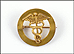 Medical Symbol Brooch in 10K Yellow Gold THUMBNAIL