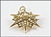 Seed Pearl Star Brooch in 9K Yellow Gold THUMBNAIL