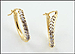 Diamond Hoop Earrings in 10K Yellow Gold THUMBNAIL