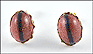 Goldstone and Onyx Earrings in Yellow Gold THUMBNAIL