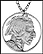 Indian Head Nickel, with rim THUMBNAIL