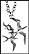 Frigate Bird (Belize), without rim THUMBNAIL