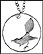 Fantail Flycatcher (Indonesia) THUMBNAIL