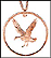 Upland Goose (Falkland Islands) THUMBNAIL