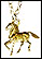 Horse (Uruguay), without rim THUMBNAIL