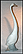 Goose  #00052 THUMBNAIL