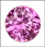 Tourmaline