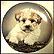 Who, Me? Collector Plate by Robert Pearcy THUMBNAIL