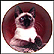 Prince Of Purrs Collector Plate by Robert Pearcy THUMBNAIL