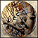 Black Caps And Tails - Black Capped Chickadees Collector Plate by Derk Hansen THUMBNAIL
