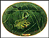 Blue Gills Collector Plate by Edward L. Totten THUMBNAIL