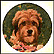 Benji The Movie Star Collector Plate by Murray Karn THUMBNAIL