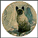 A Regal Siamese Collector Plate by Ruanne Manning THUMBNAIL