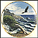Eagle Cove Collector Plate by John Van Straalen THUMBNAIL