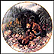 Bear Hug Collector Plate by Amy Brackenbury THUMBNAIL