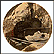 Down From Rico Collector Plate by Jack Hamilton THUMBNAIL