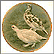 Rock Ptarmigan Collector Plate by Basil Ede THUMBNAIL
