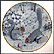Squirreling For Nuts In January Collector Plate by Peter Barratt THUMBNAIL