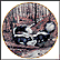 Striped Skunks At A March Stream Collector Plate by Peter Barratt THUMBNAIL