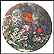 By The Castle Ruin Collector Plate by Hans Graß THUMBNAIL