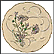 Wild Garlic Collector Plate by Felix Bracquemond THUMBNAIL