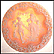 Petruchio And Katharina Collector Plate by Roger Akers THUMBNAIL