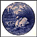 Swan And Cygnets Collector Plate by Toni Schoener THUMBNAIL