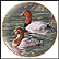Pair Of Canvasbacks Collector Plate by Trevor Boyer THUMBNAIL