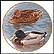 Pair Of Mallards Collector Plate by Trevor Boyer THUMBNAIL