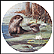 The Otter Collector Plate by Kevin Daniel THUMBNAIL