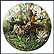 The Rabbit Collector Plate by Kevin Daniel THUMBNAIL