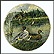 The Pintail Collector Plate by Bart Jerner THUMBNAIL
