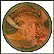 The Gift Collector Plate by Sulamith Wulfing THUMBNAIL