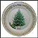 Balsam Fir Collector Plate THUMBNAIL