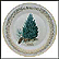 Aleppo Pine Collector Plate THUMBNAIL