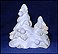 Double Tree THUMBNAIL