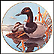 Canvasbacks Collector Plate by Rod Lawrence THUMBNAIL