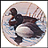 Lesser Scaup Collector Plate by Rod Lawrence THUMBNAIL