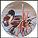 Northern Pintails Collector Plate by Rod Lawrence THUMBNAIL