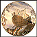 The Ark Collector Plate by Gustavo Novoa THUMBNAIL