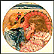 August - Summer Secrets Collector Plate by Sandra Kuck THUMBNAIL