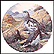 Flock Of Ptarmigan Collector Plate by Derek Braithwaite THUMBNAIL