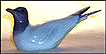 Black-Headed Gull, Royal Copenhagen Figurine #1468 THUMBNAIL