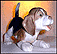 Beagle Puppy Standing, Royal Copenhagen Figurine #564r THUMBNAIL