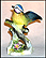 Blue Tit - style 1 THUMBNAIL