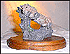 Lioness - style one THUMBNAIL